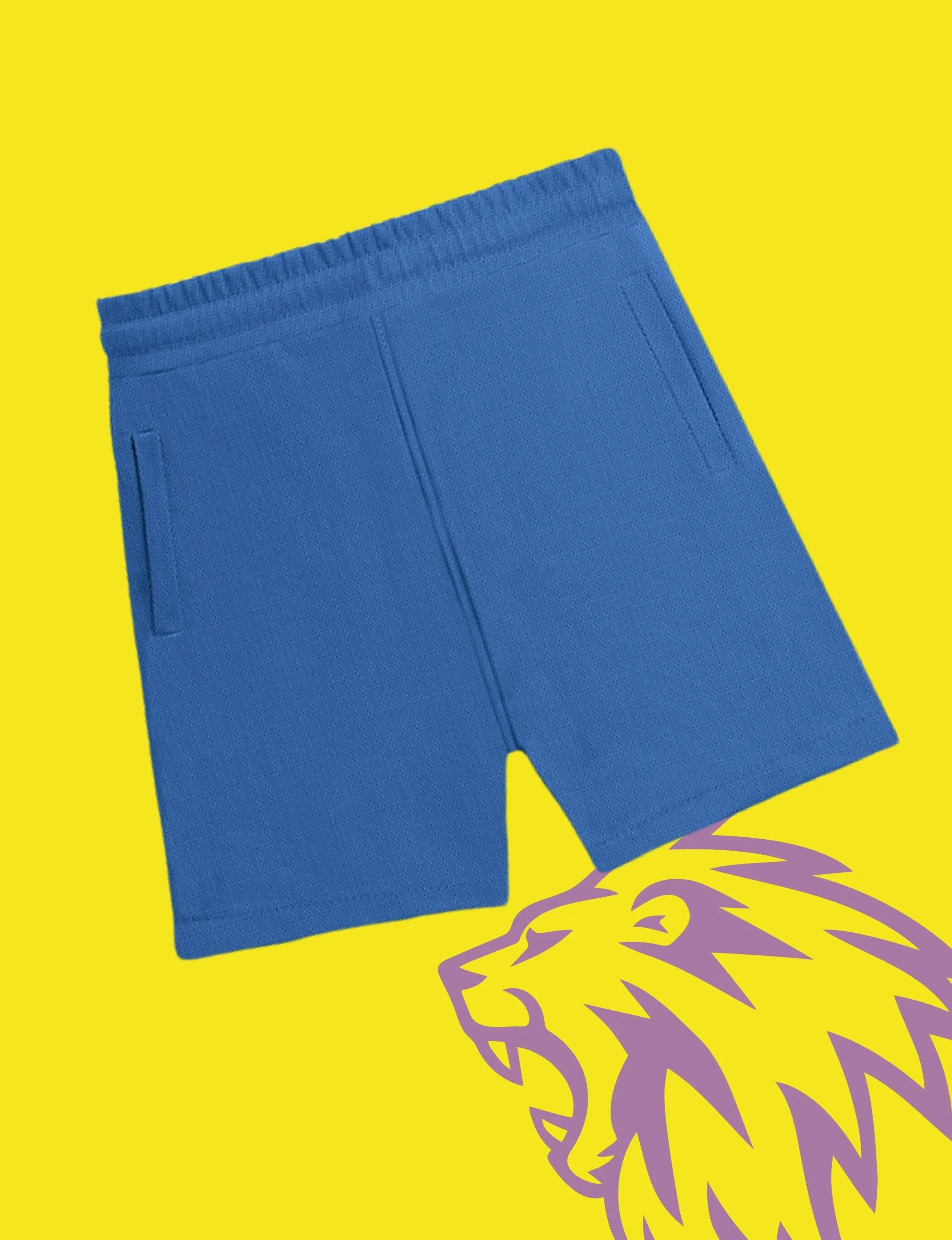 Personalized Team Chennai Jersey and Shorts for Cricket Enthusiasts